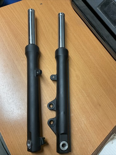 Yamaha rayzr 125 2025 - 2025, forks